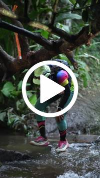 BIB:  <button type="button" onclick="openModal(27241378)" class="btn btn-primary btn-sm float-right" data-toggle="modal" data-target=".modal-high-quality">
                <i class="fa fa-download"></i> Download
                </button>